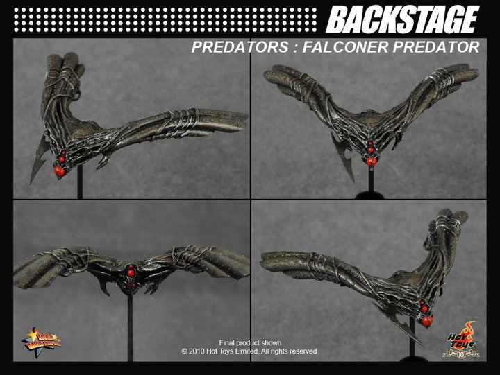 Amid high anticipation, here's the backstage of the Falconer Predator 