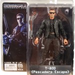 t800pepackaging