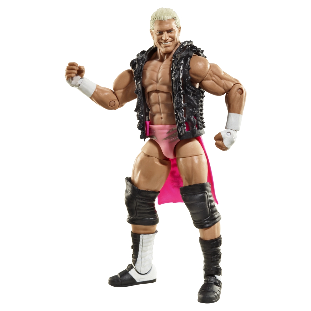 wrestling figure shop